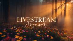 Livestream