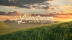 Livestream
